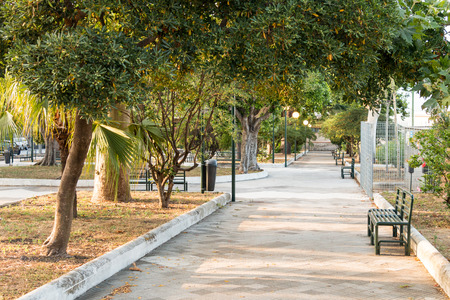 City Park with benches and night lightの写真素材