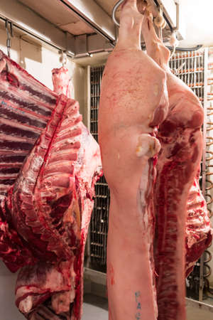 Quarters of veal and pork hanging in true Sicilian butcherの写真素材