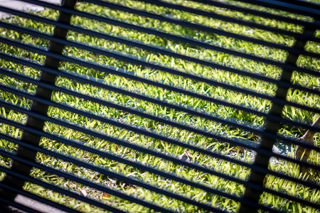 Transparency among grass benches sea and sunの写真素材