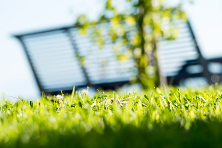 Transparency among grass benches sea and sunの写真素材
