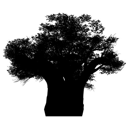 this an african baobab tree silhouette  White-space shapes beetween branches のイラスト素材