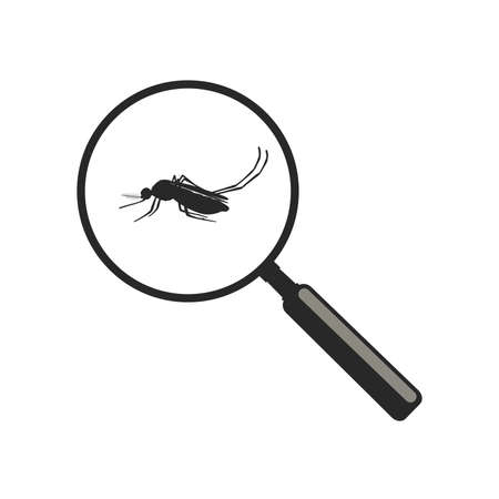 Mosquito with magnifier in flat style. Vector illustration insect.のイラスト素材