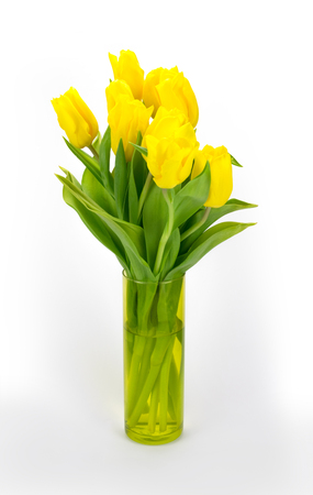 yellow tulips in a transparent vase on a light backgroundの写真素材