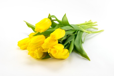 Yellow tulips lying on a light backgroundの写真素材