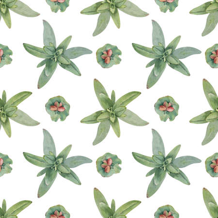 Watercolor hand drawn green leaves and herbs seamless pattern on white background. Summer leaves and buds. Flat lay.の写真素材