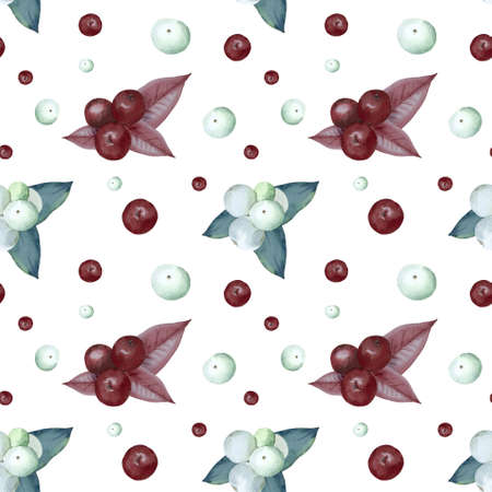 Watercolor seamless pattern with red and white berries on white background. Winter, Christmas theme.の写真素材