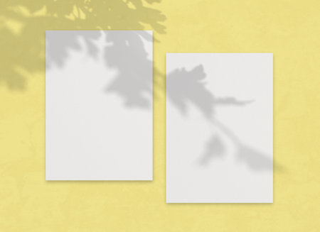 Blank vertical paper sheet on yellow wall with leaves gray shadow overlay. For wedding invitation or postcard mock up.の写真素材