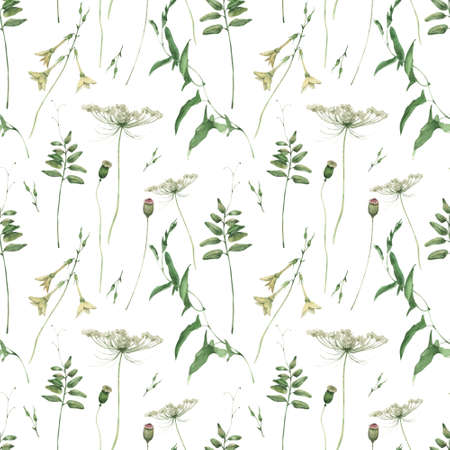 Watercolor seamless pattern with cornflowers on white background. Wildflowers seamless pattern.の写真素材
