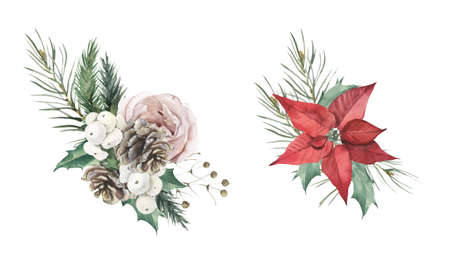Watercolor hand drawn winter plants, roses and poinsettia flower bouquets. Perfect for invitation and social media.の写真素材
