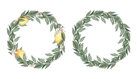 Watercolor hand drawn wreath with lemons, citrus flowers and branches. Perfect for invitation and social mediaの写真素材