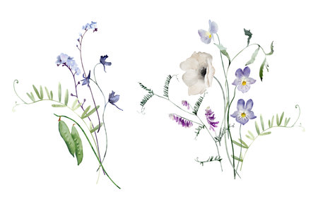 Watercolor Bouquets of Forget-me-nots, Pea Pod and Leaves. Botanical illustration for invitation and social media.の写真素材