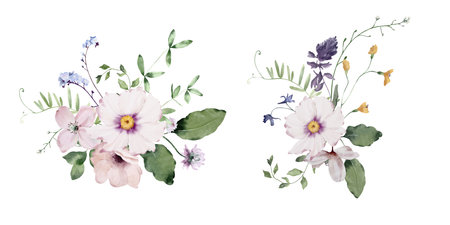 Watercolor Bouquets of Wildflowers, Forget-me-nots and Leaves. Botanical illustration for invitation and social media.の写真素材