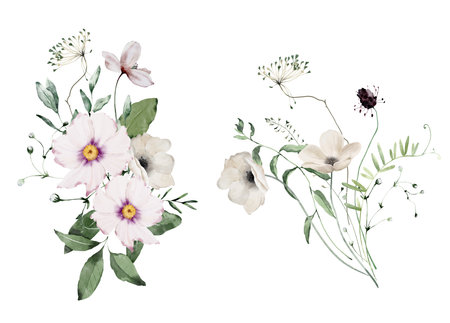 Watercolor Bouquets of Wildflowers, Umbrella Shaped Flowers and Leaves. Botanical illustration for invitation and social media.の写真素材