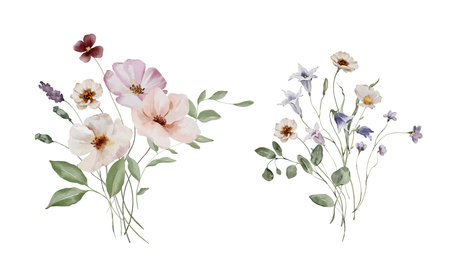 Watercolor Illustration Bouquet of Summer Meadow Flowers and Herbsの写真素材