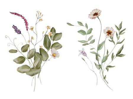 Watercolor Illustration Bouquet of Summer Meadow Flowers and Herbsの写真素材