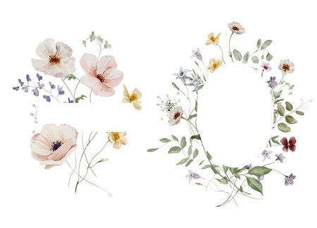 Watercolor Frame with Summer Meadow Flowers and Herbsの写真素材