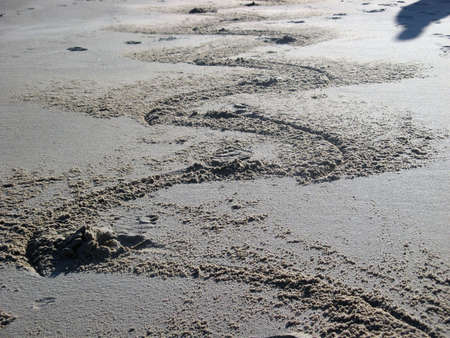 Photo of a file with wavy figure.の写真素材