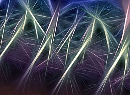 Fractal.の写真素材