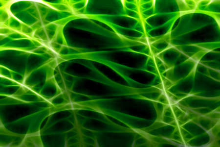 Elegant Design.の写真素材