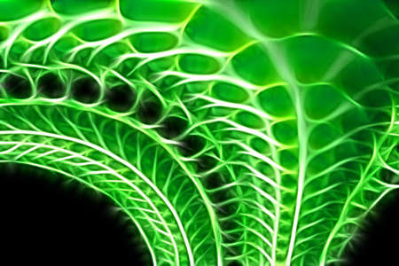 Abstraction.の写真素材