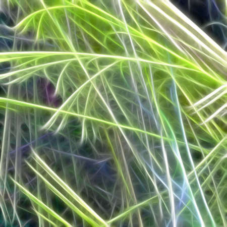 Abstract Texture.の写真素材