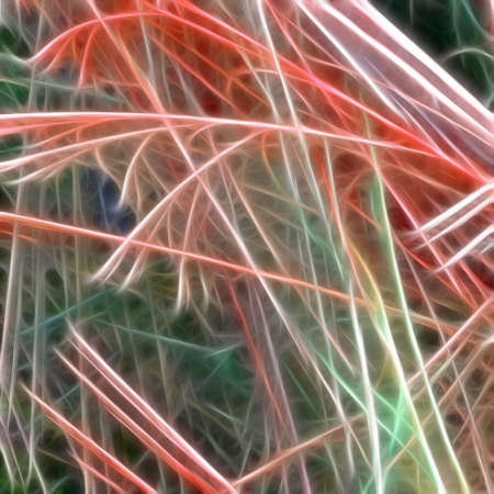 Abstract Texture.の写真素材