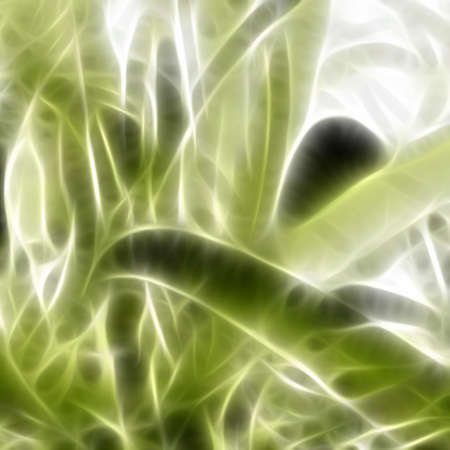 Abstract background.の写真素材