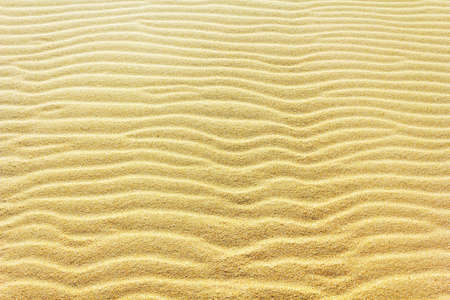 sand texture backgroundの写真素材