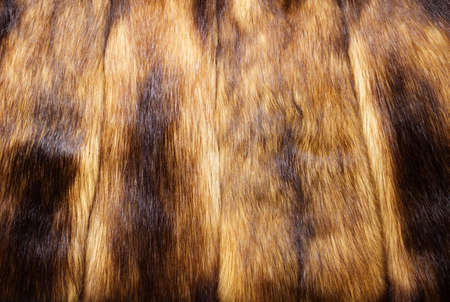 Mink fur background