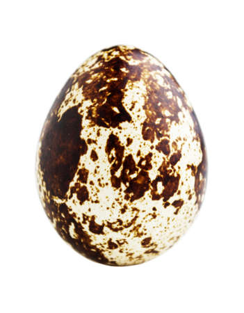 Quail egg isolated on whiteの写真素材