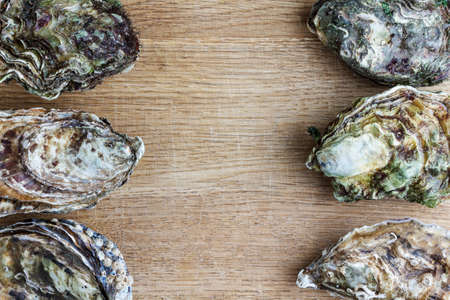 Whole oysters on woodの写真素材