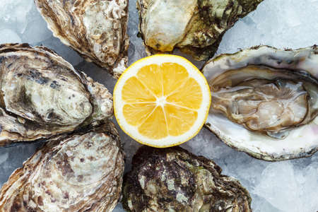 Fresh oysters on ice with lemon close up