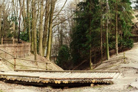 Forest landscape with old abandoned villageの写真素材