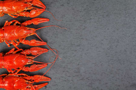 Close-up of boiled crayfish on a slate plateの写真素材
