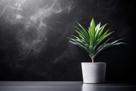 Houseplant in a white pot on a black background with smoke.の素材