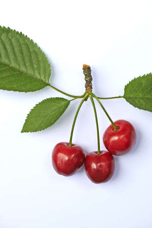 Sweet ripe cherry with leaf