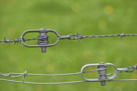 Barbed fence wired against green dofの写真素材