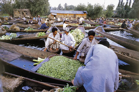 Srinagar, Lake Dal, Jammu and Kashmir, India - November 12, 2001: Unidentified Kashmiri men buy and sell vegetables at the morning floating market on Dal Lake, major tourist attraction, in Kashmirのeditorial素材