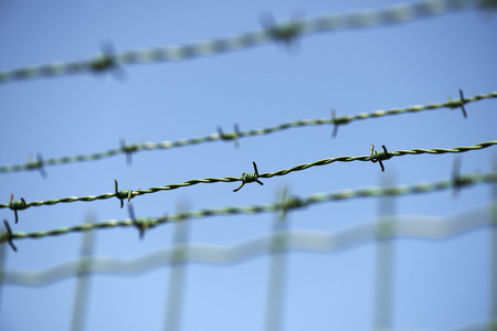 Locked freedom concept. Barbed wire fence with blue sky . Low Deep Focusの写真素材