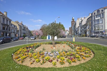 BRUSSELS; BELGIUM - APRIL 22; 2015: Olivier tree, flower bed and japanese cherry trees from the...