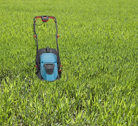 Lawn mower surrounded by high grass.