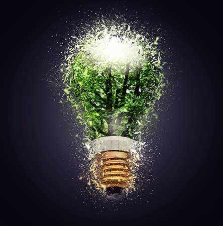 Electric bulb lamp on white background
