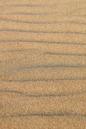 Texture of sand in macro with low deep of fieldの写真素材