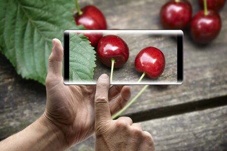Two hands holding a mobile Smartphone and take a picture of the cherries on a wooden tableの写真素材