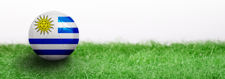 Panoramic Green grass isolated on white background and flagged soccer ball. Uruguayの写真素材