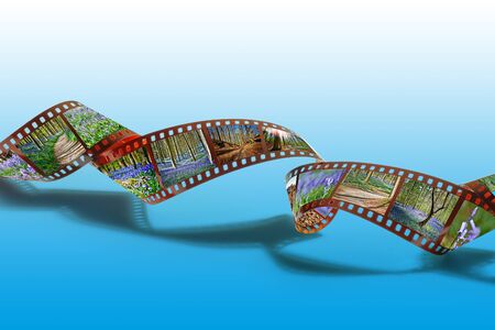 35mm strip film and Frames with pictures of the bluebells from Hallerbosの写真素材
