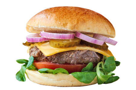 Front view of burger with Beef onions and cheese.の写真素材