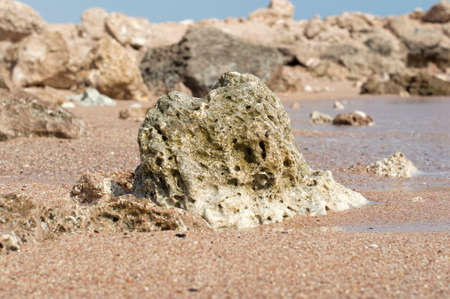 travel to Africaの写真素材