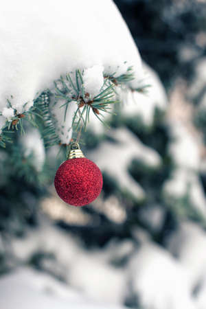 Christmas decorations and accessoriesの写真素材