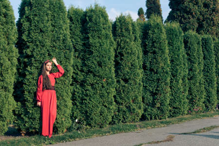 summer walk in the city parkの写真素材